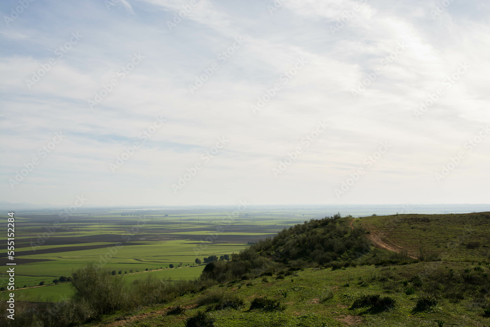 Paisaje de campos sembrados con trigo. Paisaje de campos sembrados con trigo.
