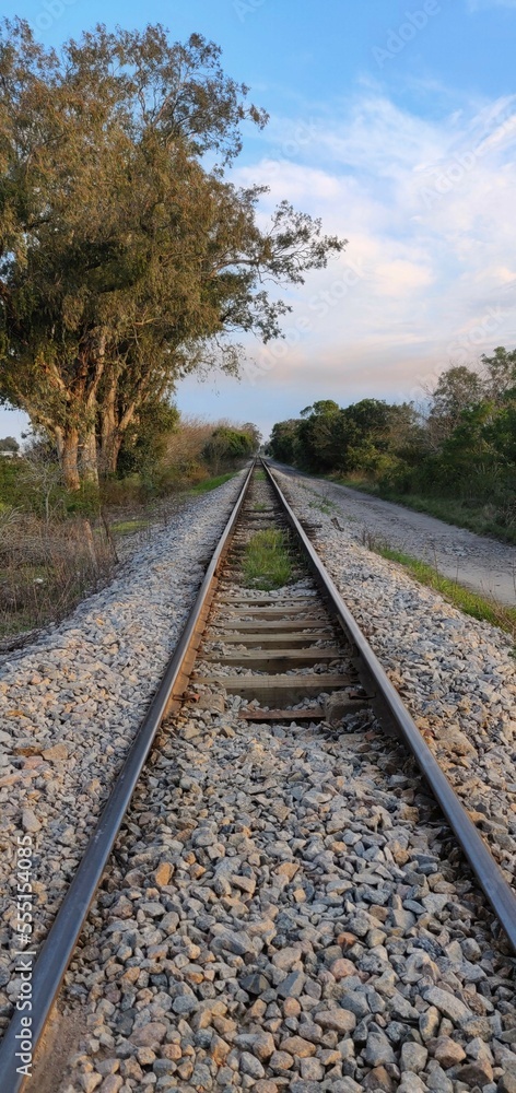 Fototapeta premium railway in the forest