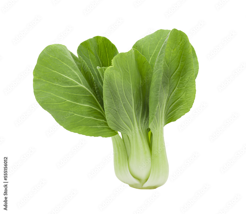 Bok choy vegetable on transparent png Bok choy vegetable on transparent png