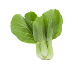 Bok choy vegetable on transparent png