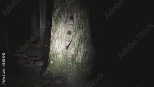 A giant monster eye staring from a tree hollow. Scary dark forest handheld POV camera footage. Cinematic Halloween 3D animation. photo