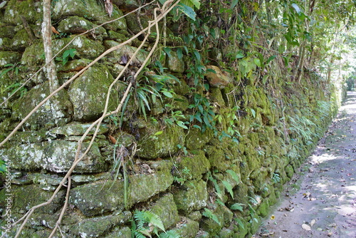 According to records, Major Gomes Archer ordered the replanting and development of Tijuca National Park in Rio de Janeiro between 1861 and 1874, aided by five slave laborers. Brazil.