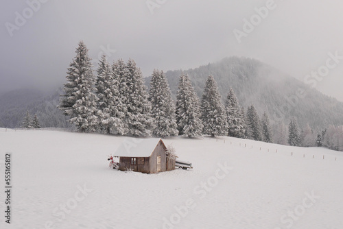 Allgäuer Winterlandschaft am Alpenblick. © Guenther