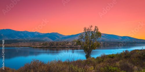 Southern California Nature Winter Landscape Series, two bold eagles sitting on the tree at Lower Otay Lake in Chula Vista, USA photo