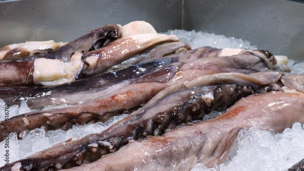 Octopus tentacles on ice at the local fish market by the sea, fresh seafood freshly caught in the sea goes on sale in the supermarket for clam dishes. Eat seafood rich in vitamins and minerals Octopus tentacles on ice at the local fish market by the sea, fresh seafood freshly caught in the sea goes on sale in the supermarket for clam dishes. Eat seafood rich in vitamins and minerals