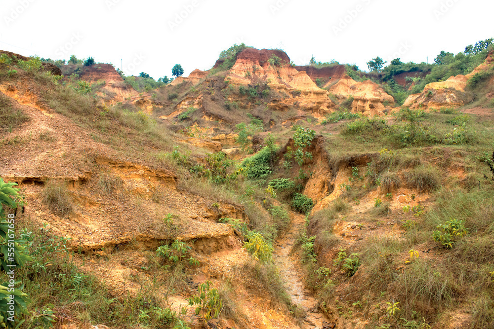 Fototapeta premium so called grand canyonofr Bengal, Gangani of Garhbeta in Medinipur . Red soil plateau area