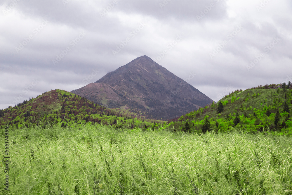 a field of stunted grass against the background of mountains