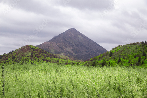 a field of stunted grass against the background of mountains