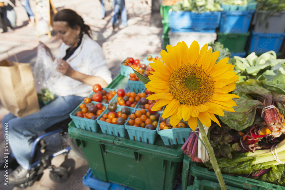 Woman with spinal cord injury sitting in a wheelchair shopping at outdoor market for sun flowers Woman with spinal cord injury sitting in a wheelchair shopping at outdoor market for sun flowers