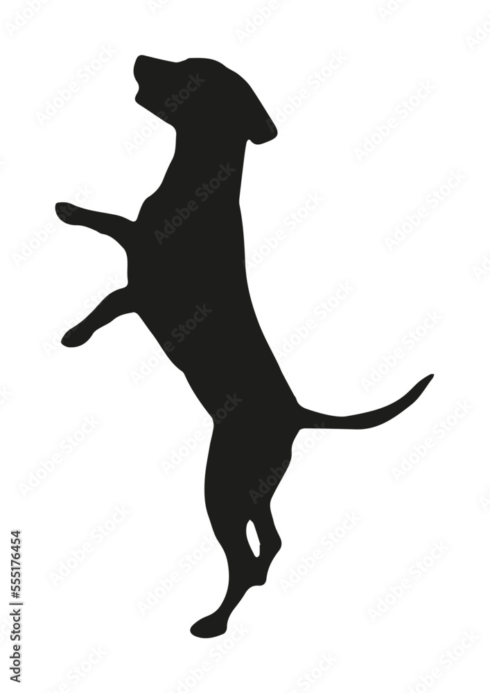 vector silhouette of a dog on two legs in black and white vector silhouette of a dog on two legs in black and white