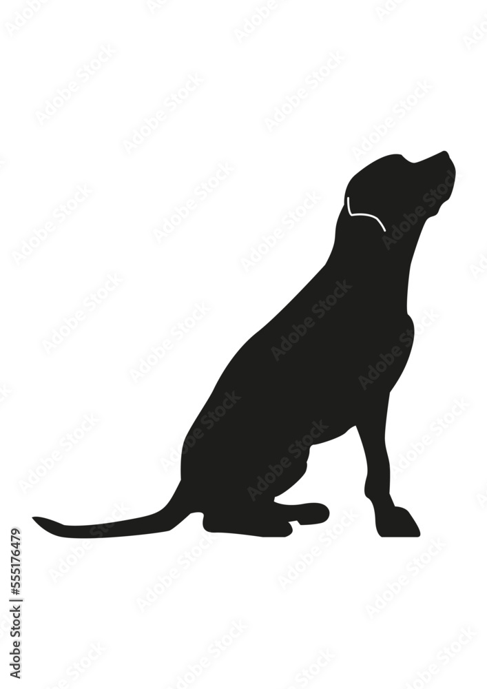 vector silhouette of a sitting dog in black and white