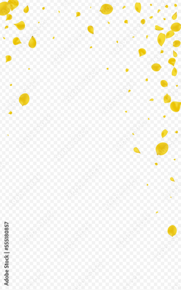 Mustard Cherry Japanese Vector Transparent Mustard Cherry Japanese Vector Transparent