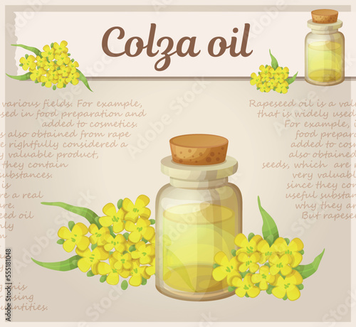 Colza oil in a glass bottle vector icon. Vegetable yellow oil in a small bottle with a cork illustration. Rapeseed flowers and leafs around the oil extract