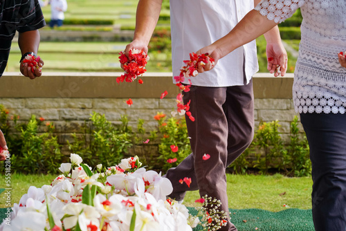 Closeup of hand spreading rose petals on grave or tabur bunga. photo