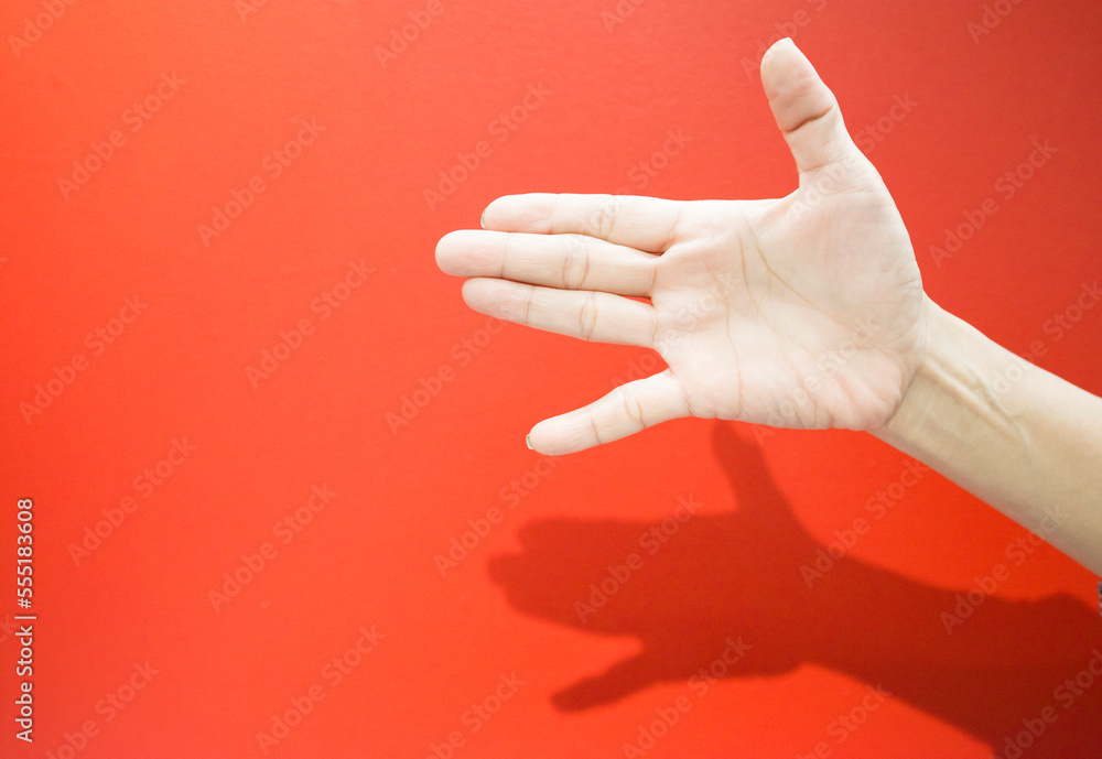 Conceptual image and idea, human hand and finger gesture symbol on bright red background on empty space. Conceptual image and idea, human hand and finger gesture symbol on bright red background on empty space.