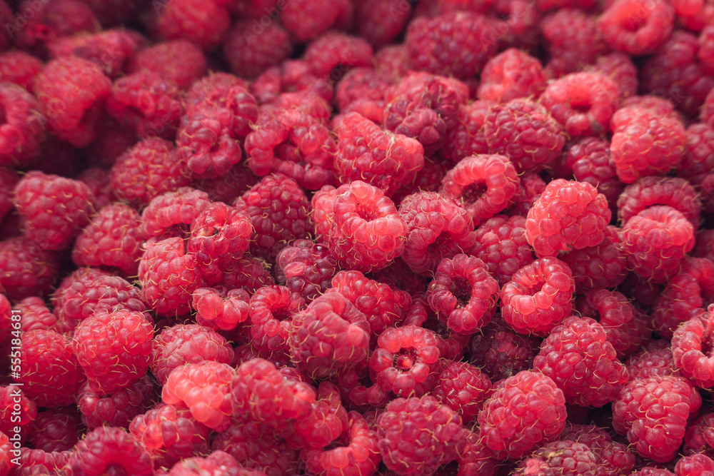 Close up of a bunch raspberries Close up of a bunch raspberries