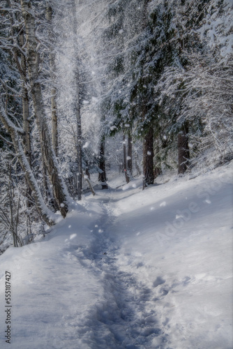 Schneefall © Valentin