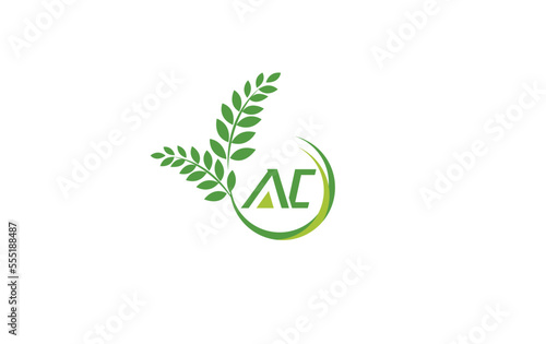 Laurel wreath green leaf logo and Vintage wheat logo design monogram vector with the letters and alphabets
