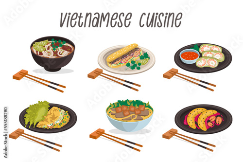 Vietnamese cuisine. Pho soup, spring rolls, ban kheo, cao lau, ban mi, baked bananas with wooden sticks. Vector graphic. © Anastasiia Diubua