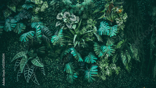 A background with an abstract design and a close-up texture of green leaves.