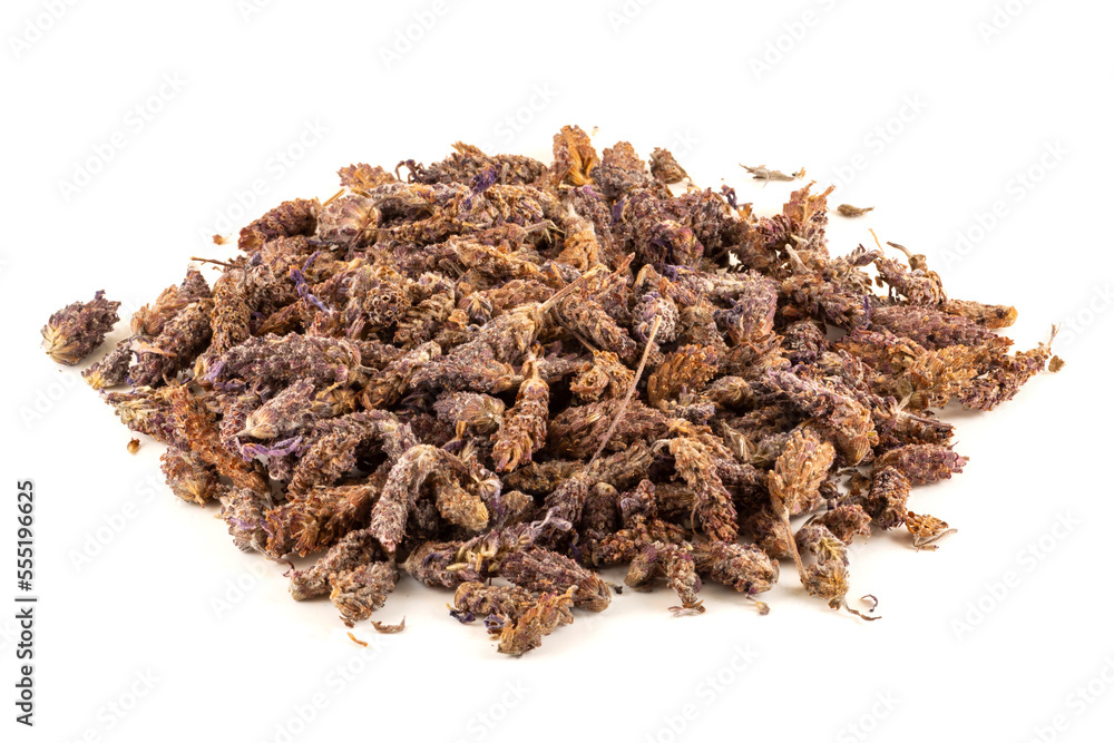 Dried Lavandula stoechas on a white background Dried Lavandula stoechas on a white background