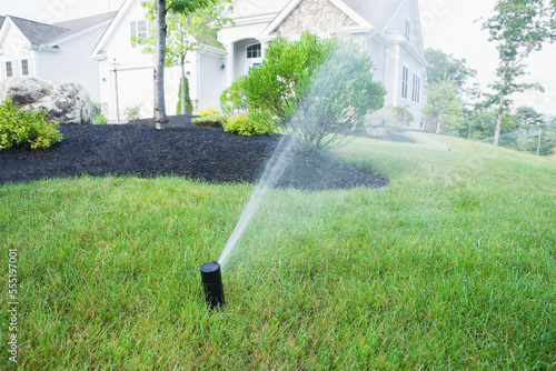 Water being sprayed from a sprinkler in a lawn photo