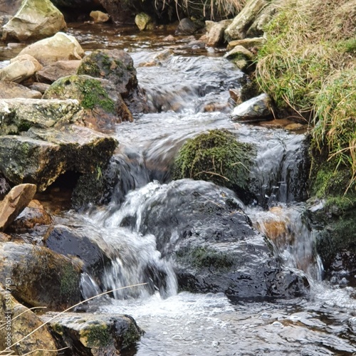 waterfall in the forest