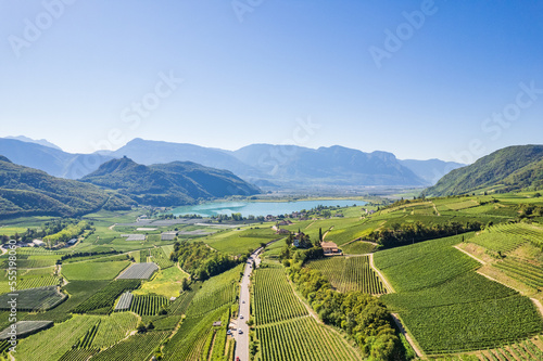 Quadro su tela Weinberglandschaft rund um den Kalterer See im Süden Südtirols