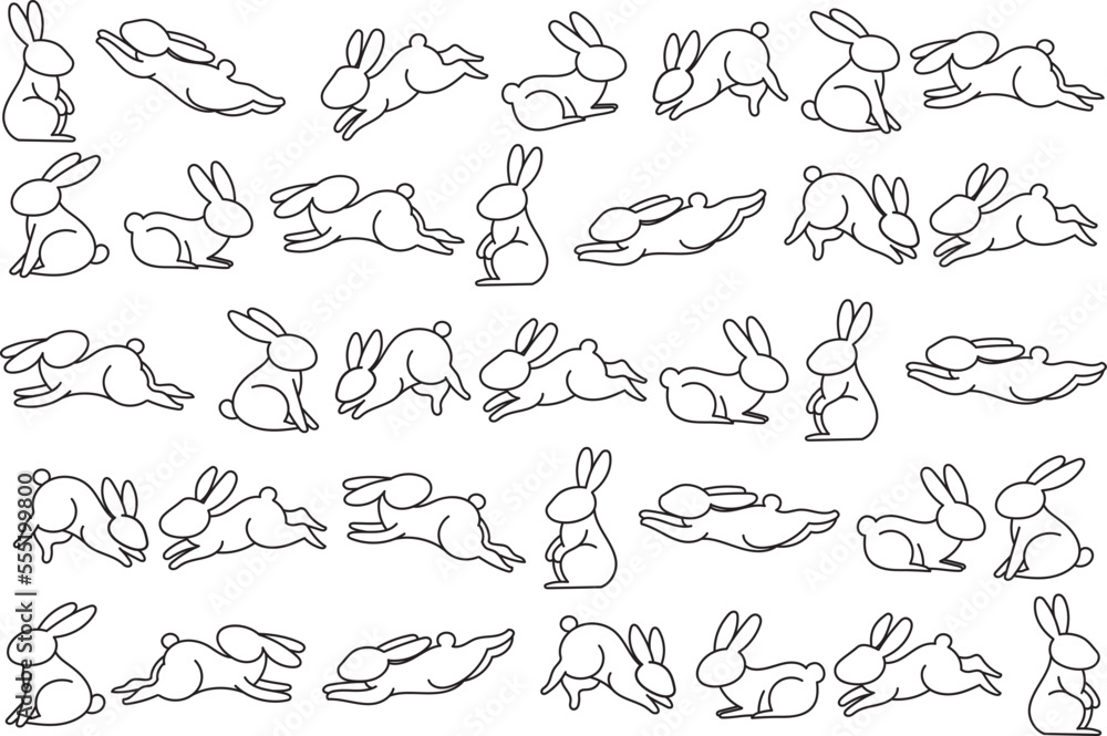 Illustration abbit line on empty background. Illustration abbit line on empty background.