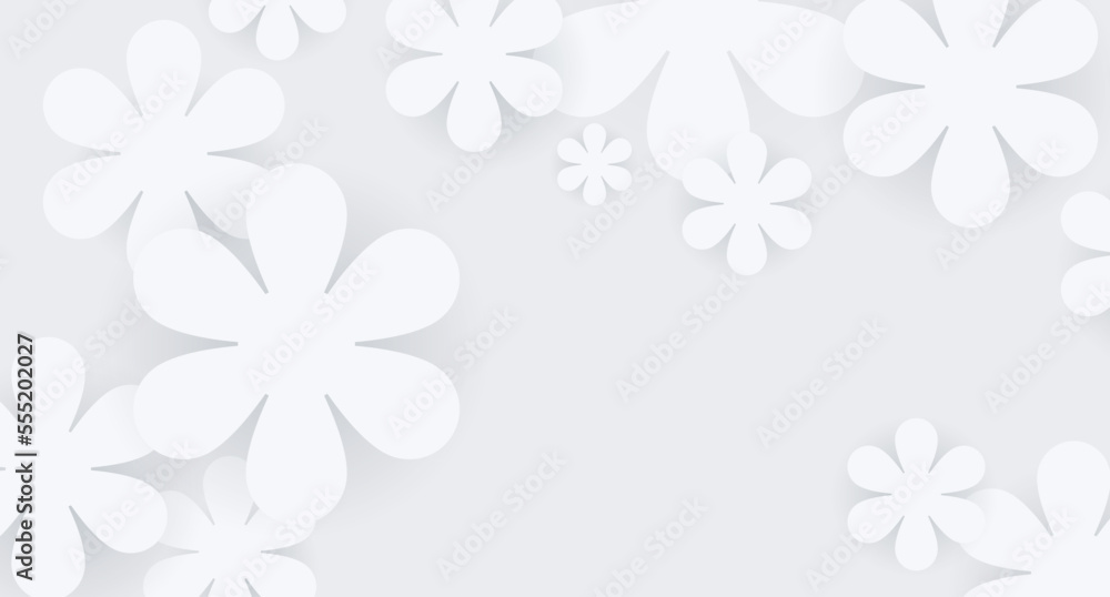 White flowers background clean and minimal style White flowers background clean and minimal style