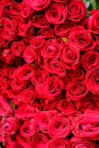 bunch of roses for valentine s day
