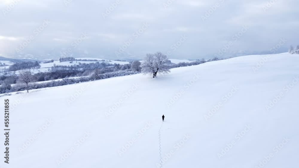 Aerial view of a 500 year old solitary tree under a blanket of snow at sunrise. Following in the footsteps of a proto-human. White winter scenery in Kozlovice, Czech republic. 4k video Aerial view of a 500 year old solitary tree under a blanket of snow at sunrise. Following in the footsteps of a proto-human. White winter scenery in Kozlovice, Czech republic. 4k video