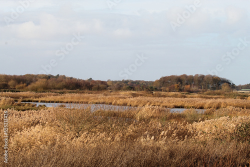A beautiful winter landscape shot taken at Lunt Nature Reserve in Merseyside. These photos were taken on a cold December afternoon.