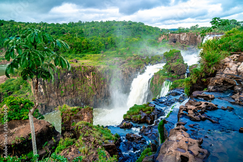 nature  river and plants around Iguazu Falls