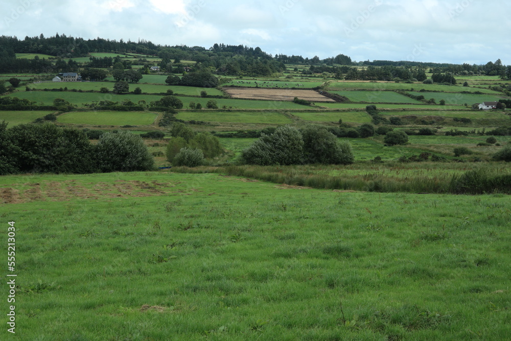 Countryside - County Cork - Ireland