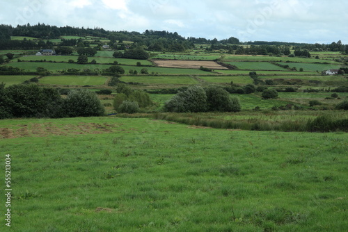 Countryside - County Cork - Ireland
