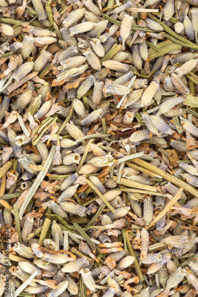 Dried Lavandula angustifolia