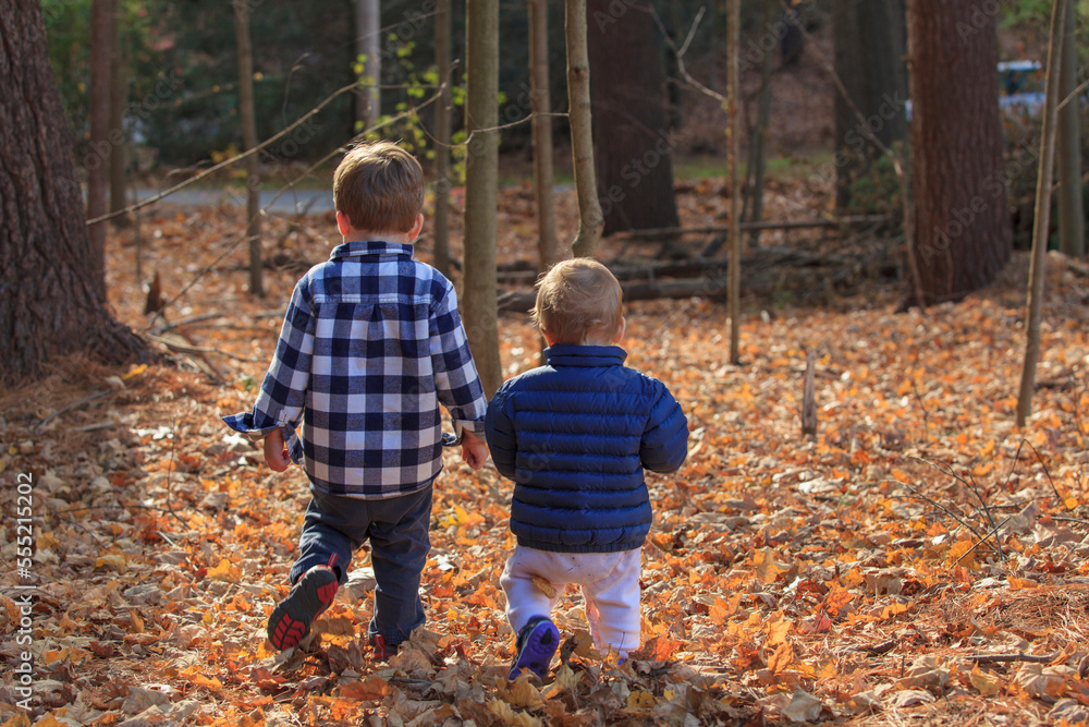 Rear view of a boy and his baby sister walking on fallen leaves Rear view of a boy and his baby sister walking on fallen leaves