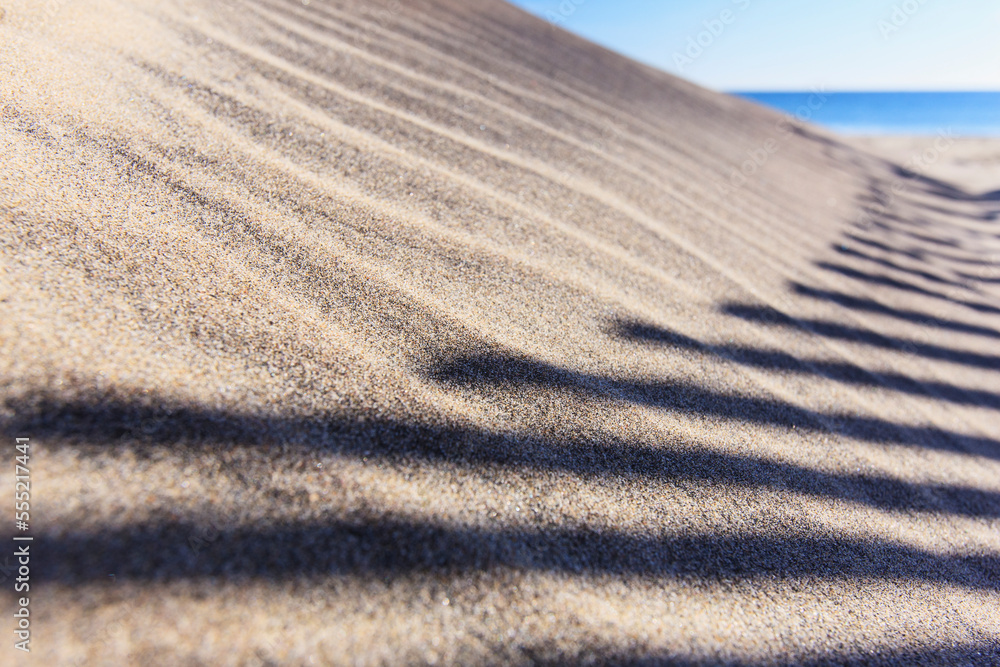 Shadow of sand fence on Fred Benson Town Beach, Block Island, Rhode Island, USA Shadow of sand fence on Fred Benson Town Beach, Block Island, Rhode Island, USA