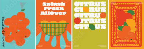 A Set of Four Natural Minimalist Citrus Illustration Posters Design. Grocery Fruit Poster Collection. Poster with Illustration of Citrus in a Fruitbag, Colander, and Basket.