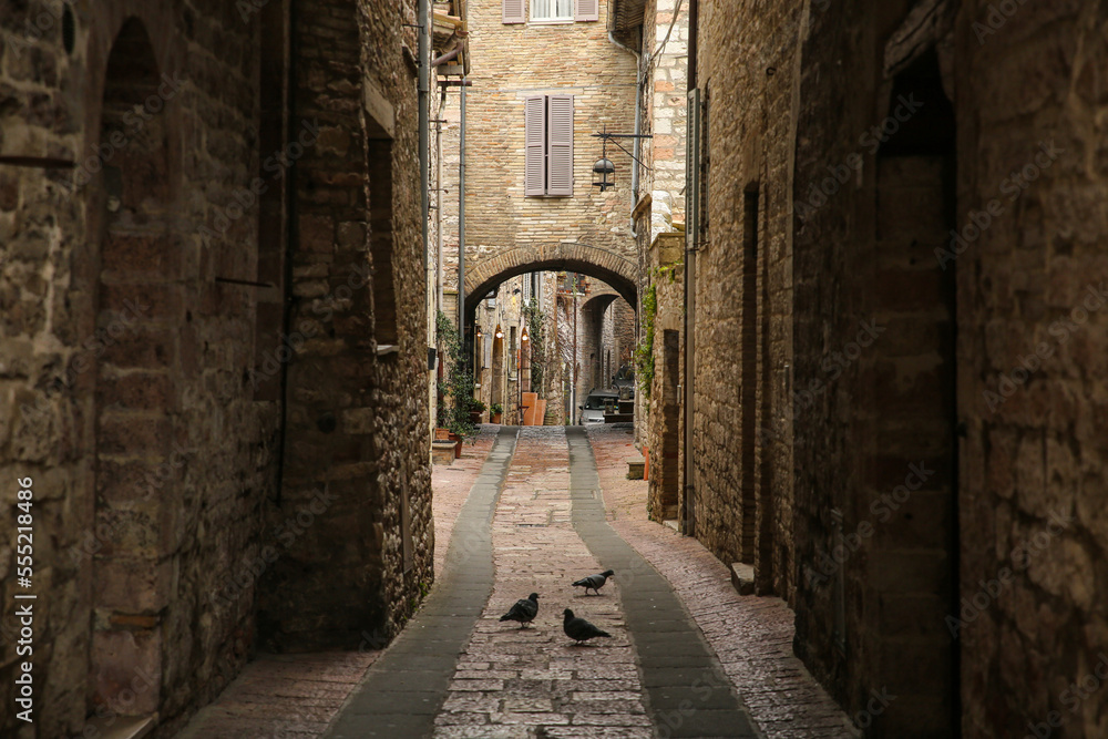 narrow street in a Italian town