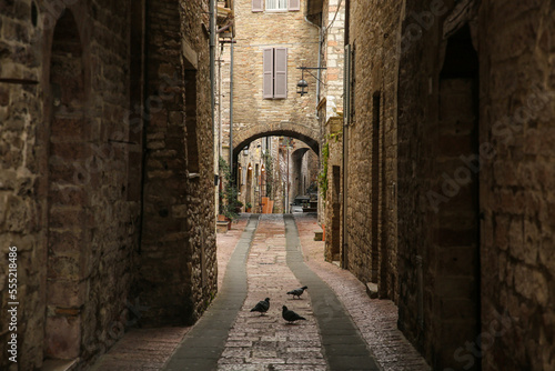 Fototapeta Naklejka Na Ścianę i Meble -  narrow street in a Italian town