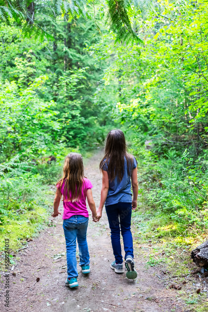 Two sisters holding hands and walking on a trail in a forest; British Columbia, Canada Two sisters holding hands and walking on a trail in a forest; British Columbia, Canada