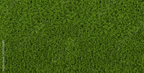 Green football field vector texture. Sport grassland background. Greeny yard top view. Spring ground seamless pattern. Baseball court shape. Fresh park plant