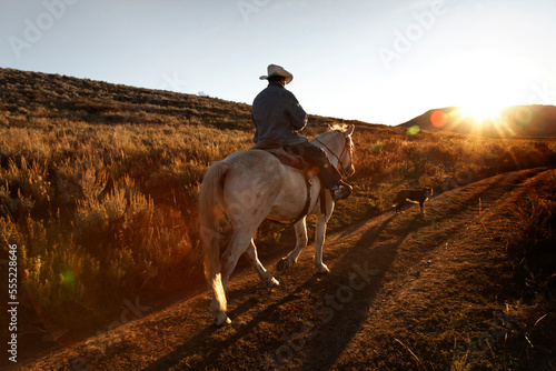 A once wild horse now works the Wyoming range with a sheepherder; Savery, Wyoming, United States of America photo