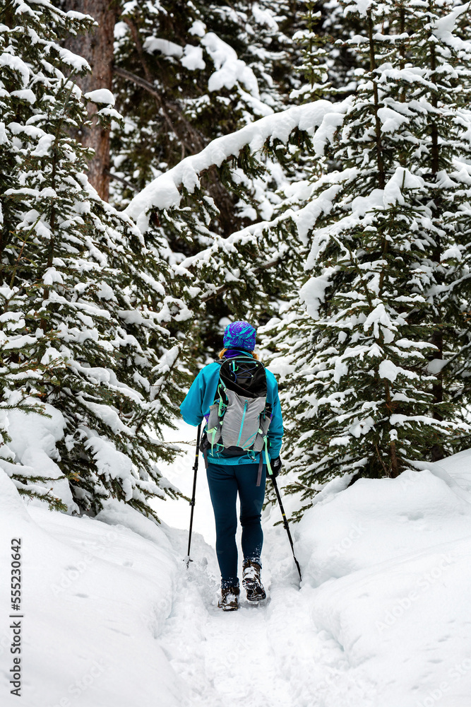 Female snowshoeing on a snow-covered trail with snow-covered evergreens in Banff National Park; Lake Louise, Alberta, Canada Female snowshoeing on a snow-covered trail with snow-covered evergreens in Banff National Park; Lake Louise, Alberta, Canada