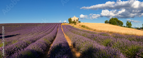 Provence in Summer with panoramic view of lavender and wheat fields. Entrevennes chapel in the Alpes-de-Haute-Provence, France © Francois Roux