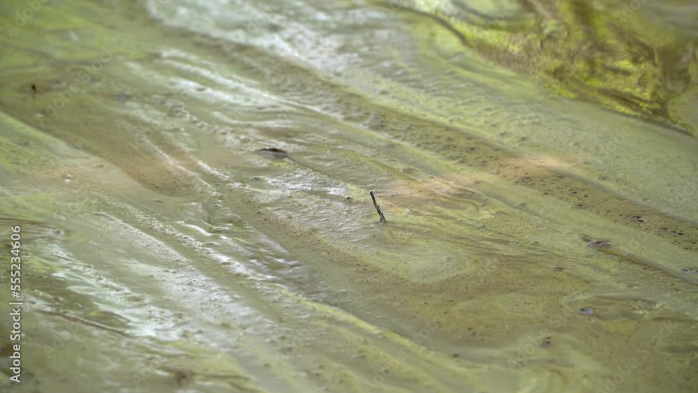 Water flood on river after heavy autumn, spring rain. Dirty and muddy water flowing after a rainstorm Water flood on river after heavy autumn, spring rain. Dirty and muddy water flowing after a rainstorm