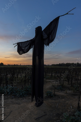 Ghost on a field during sunset, no people are visible. photo