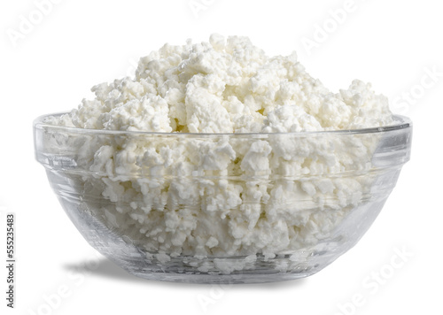 Canvastavla Tasty fresh curd or cottage cheese dairy products